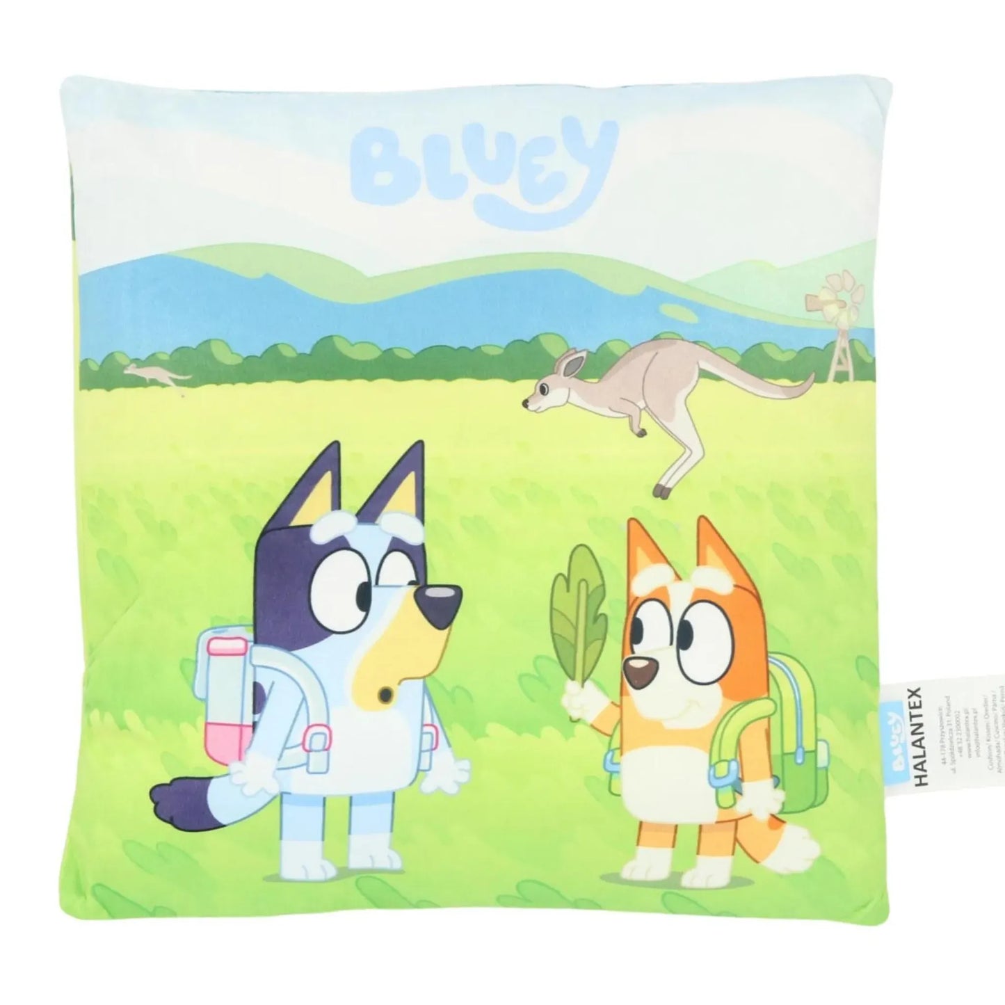 Bluey Sunny Day Dekokissen 38x38 cm – Samtkissen mit Füllung | Kinderzimmer Kissen Bluey & Bingo