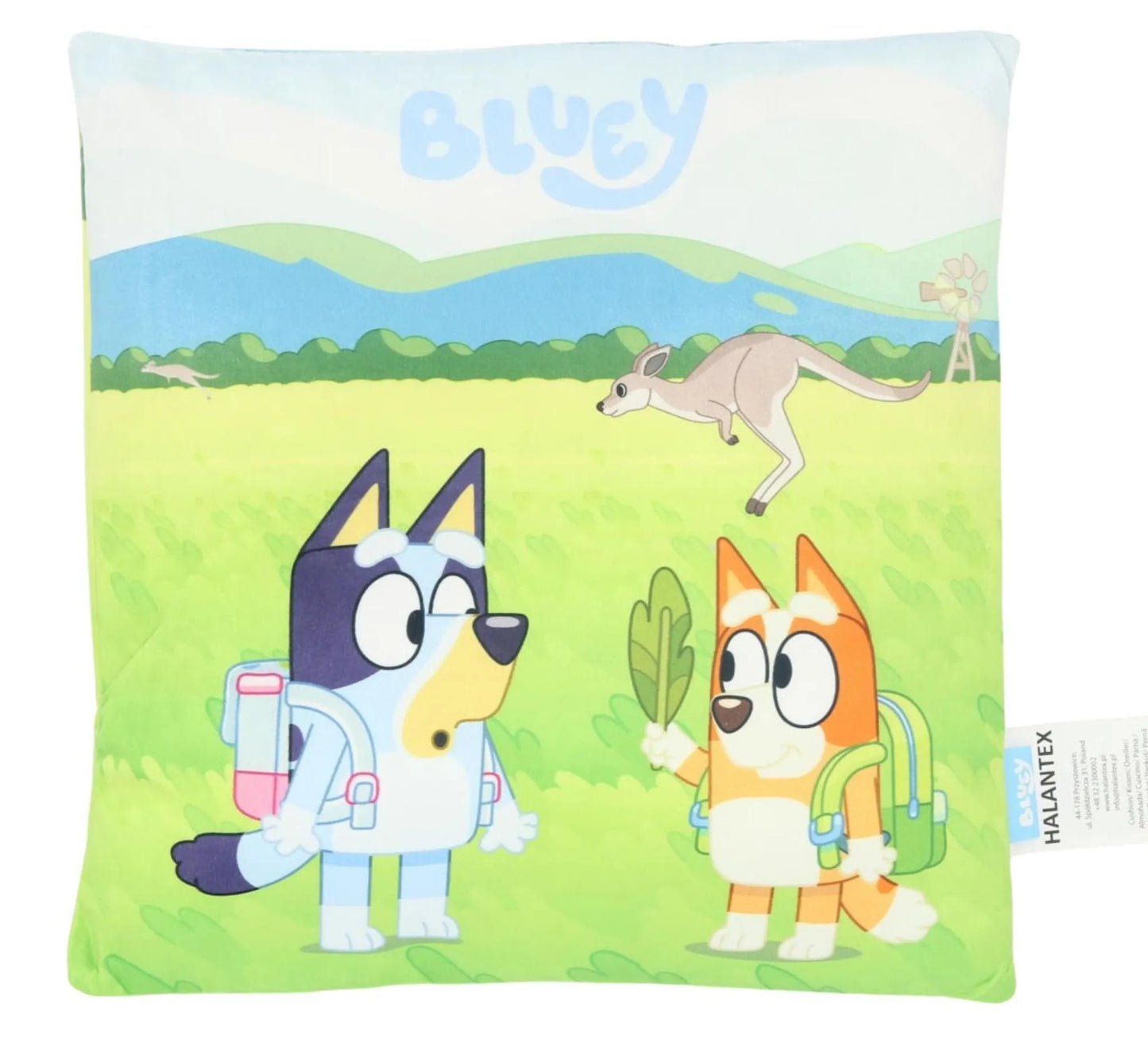 Bluey Sunny Day Dekokissen 38x38 cm – Samtkissen mit Füllung | Kinderzimmer Kissen Bluey & Bingo