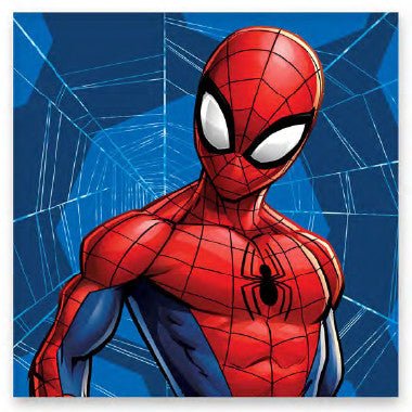 Spiderman Web Gesichtstuch für Kinder aus Baumwolle – 30 × 30 cm