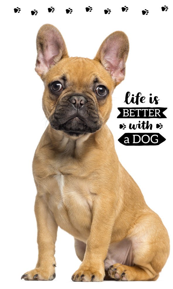 Hund Friend Hand- und Gesichtstuch für Kinder aus Baumwolle – 30 × 50 cm