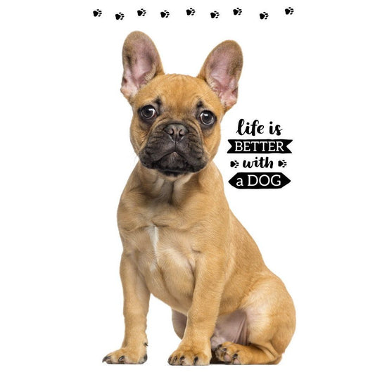 Hund Friend Hand- und Gesichtstuch für Kinder aus Baumwolle – 30 × 50 cm