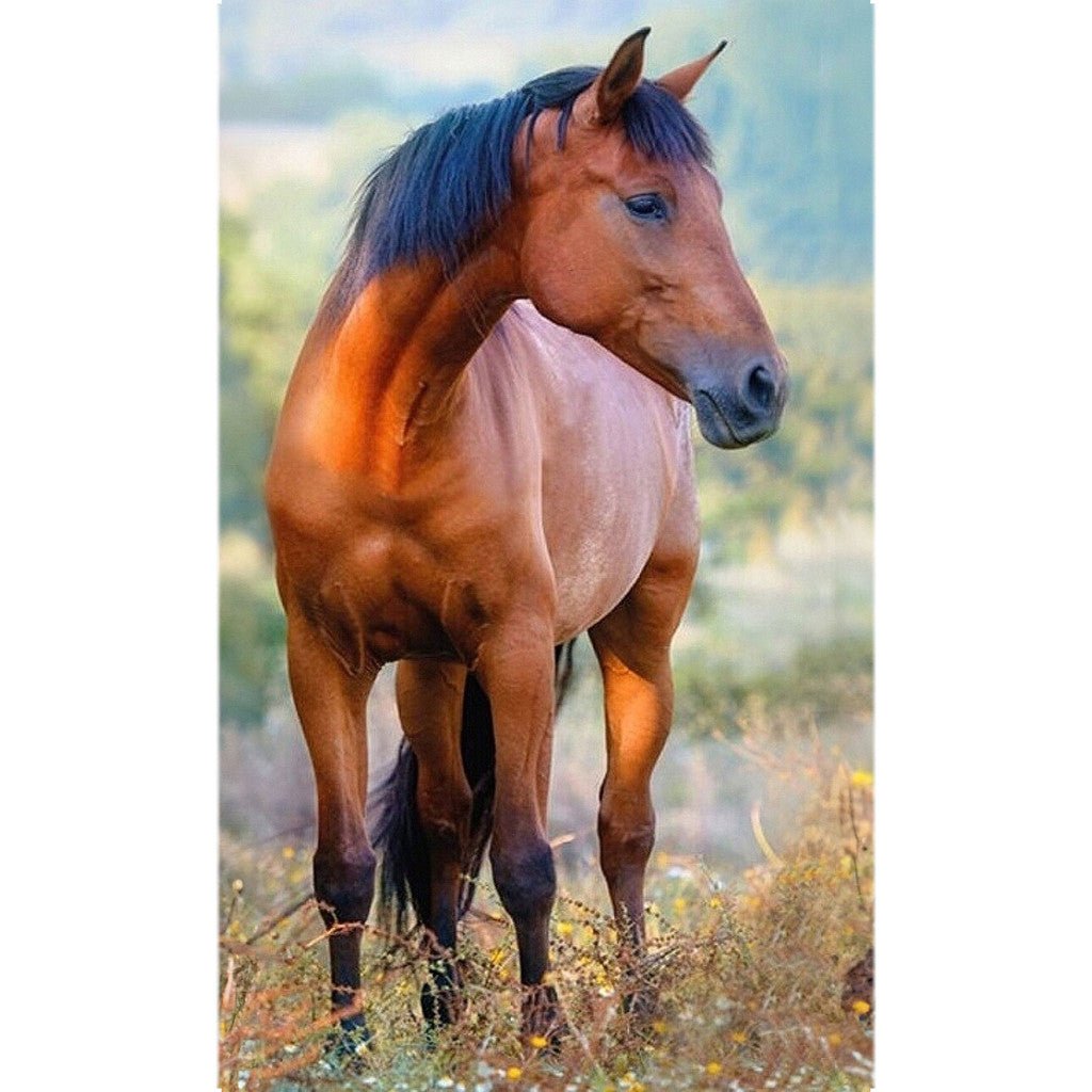 Pferd Brown Gesichtstuch für Kinder aus Baumwolle – 30 × 50 cm