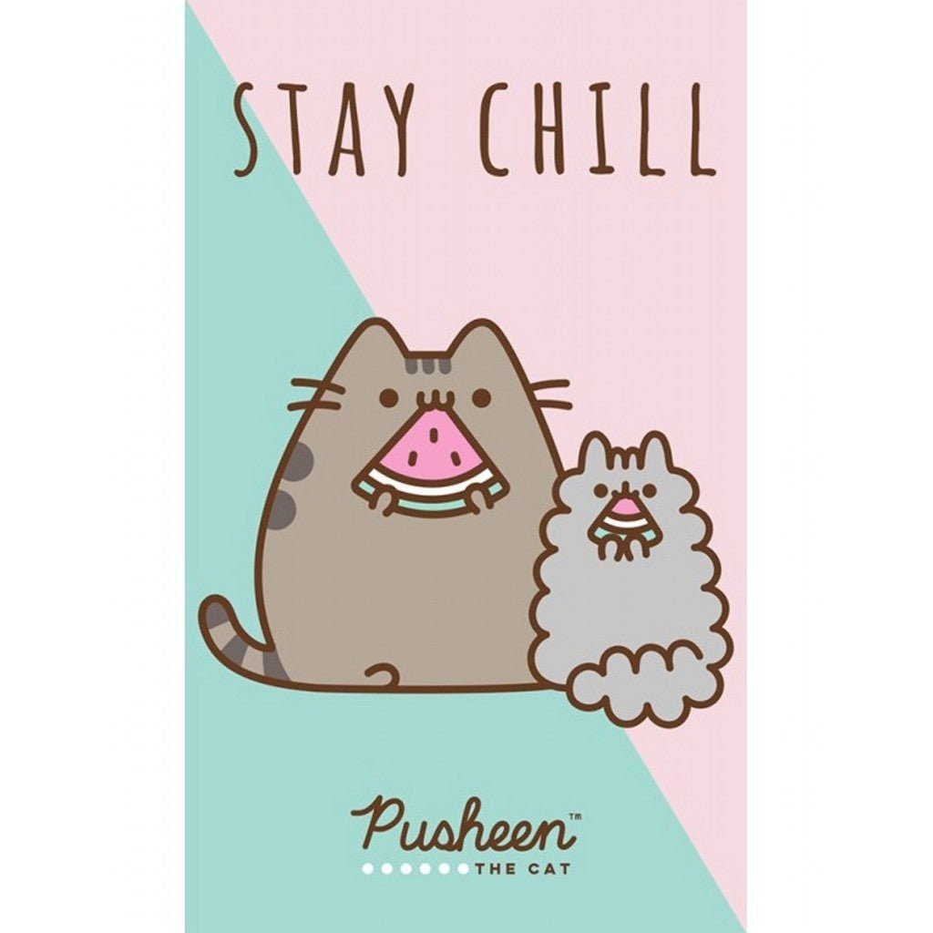 Pusheen Stay Chill Gesichtstuch für Kinder aus Baumwolle – 30 × 50 cm