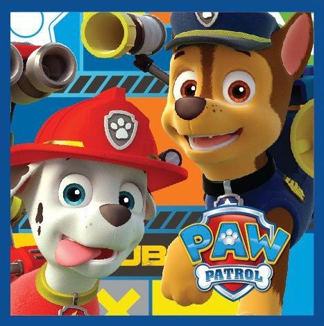 Paw Patrol Magisches Gesichtstuch für Kinder aus Baumwolle – 30 × 30 cm