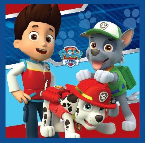 Paw Patrol Magisches Gesichtstuch für Kinder aus Baumwolle – 30 × 30 cm