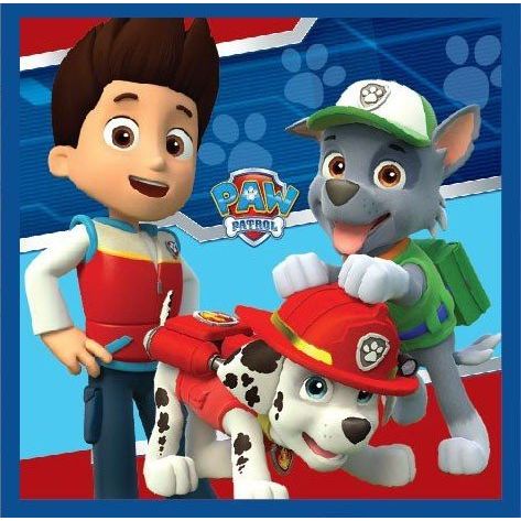 Paw Patrol Magisches Gesichtstuch für Kinder aus Baumwolle – 30 × 30 cm
