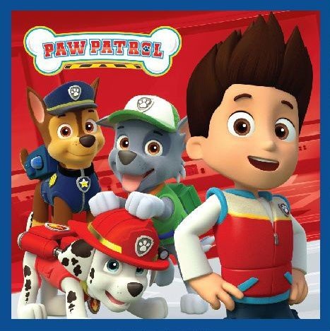 Paw Patrol Magisches Gesichtshandtuch Gesichtstuch für Kinder aus Baumwolle – 30 × 30 cm