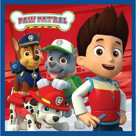 Paw Patrol Magisches Gesichtshandtuch Gesichtstuch für Kinder aus Baumwolle – 30 × 30 cm