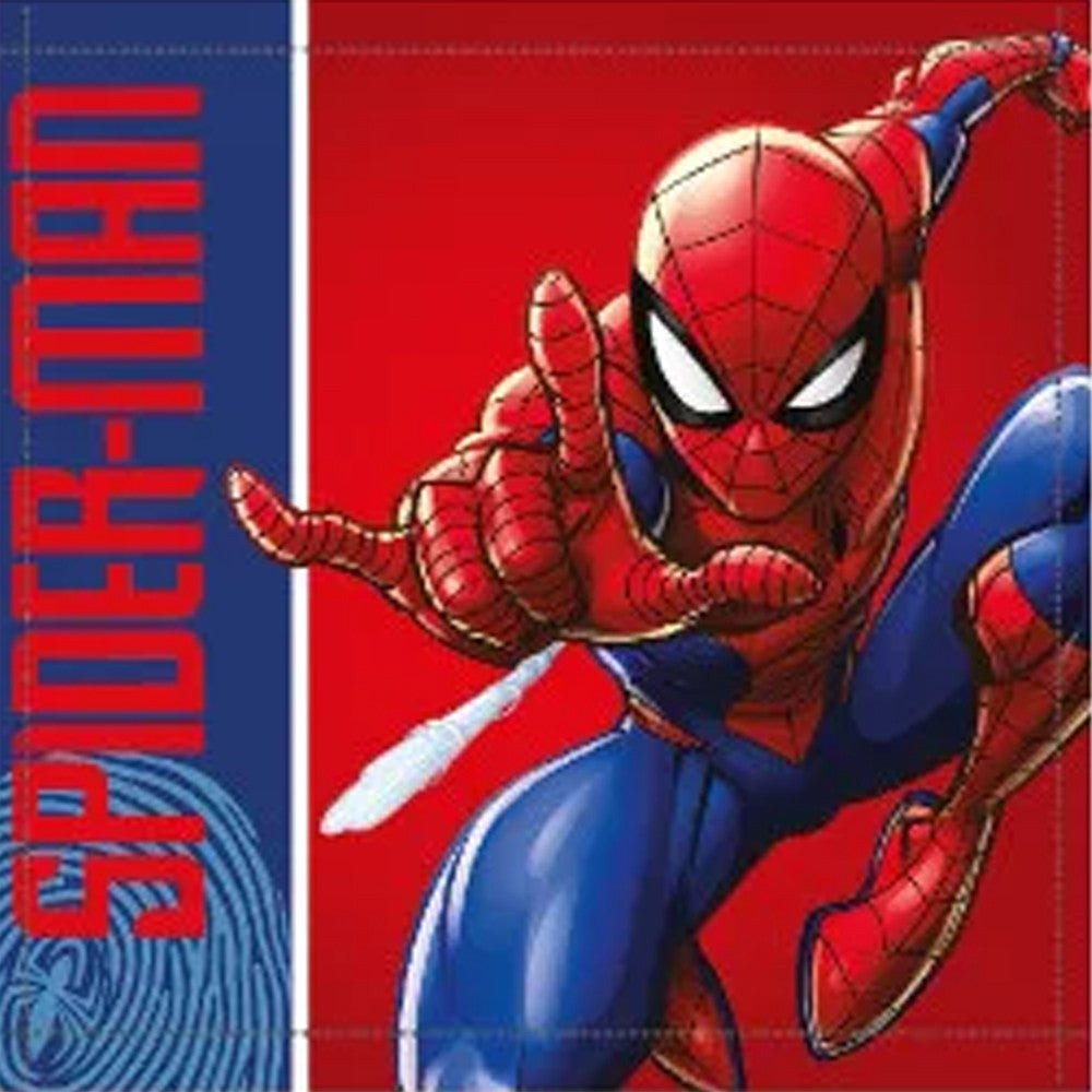 Spiderman City Swing Gesichtstuch für Kinder aus Baumwolle – 30 × 30 cm