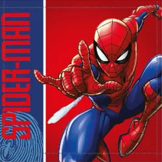 Spiderman City Swing Gesichtstuch für Kinder aus Baumwolle – 30 × 30 cm