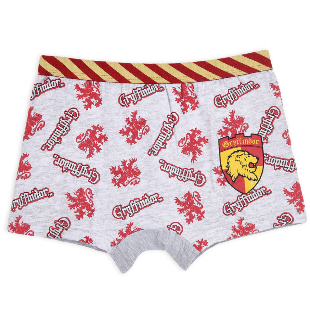 Harry Potter Kinder Boxershorts 2 Stück/Packung