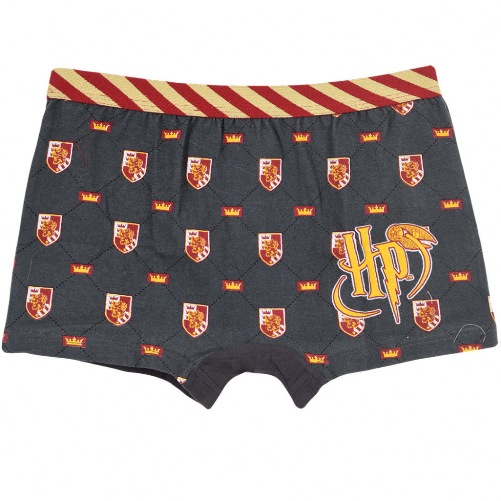 Harry Potter Kinder Boxershorts 2 Stück/Packung