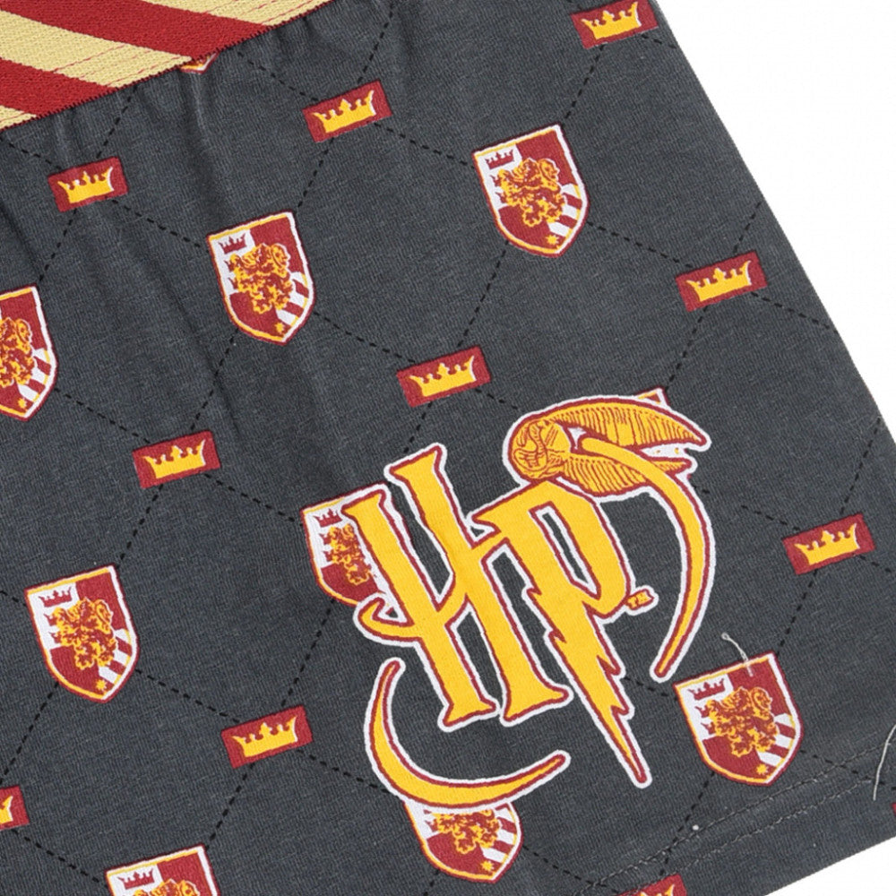 Harry Potter Kinder Boxershorts 2 Stück/Packung