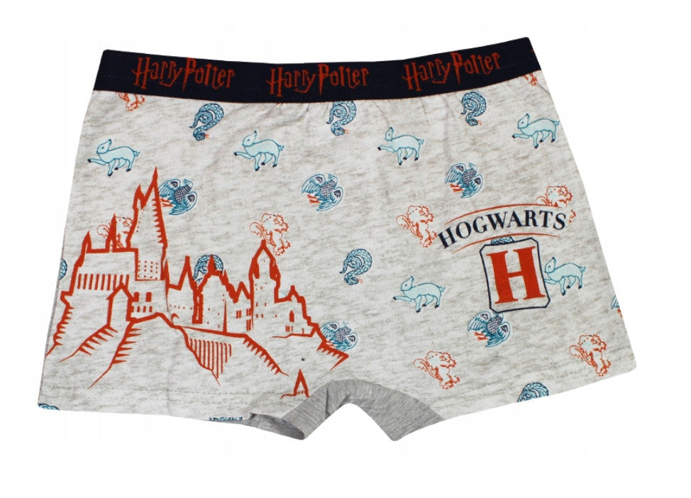 Harry Potter Kinder Boxershorts 2 Stück/Packung