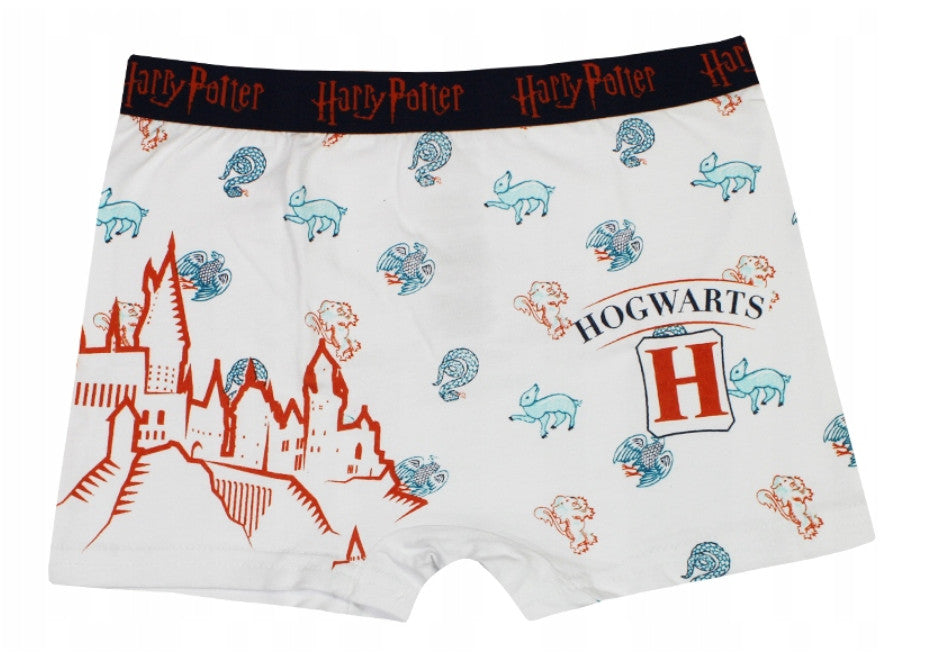 Harry Potter Kinder Boxershorts 2 Stück/Packung