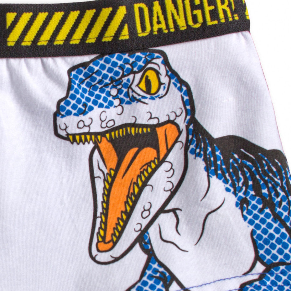 Jurassic World Kinder Boxershorts 2 Stück/Packung
