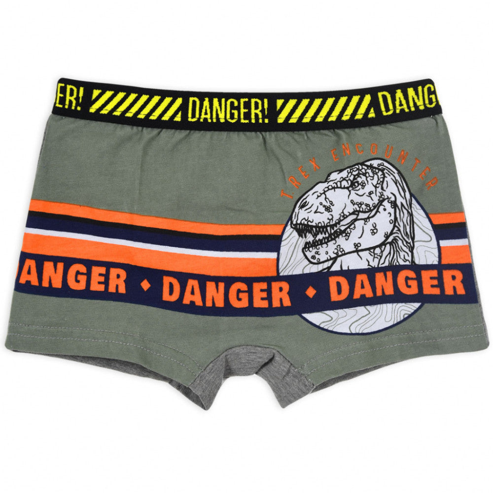 Jurassic World Kinder Boxershorts 2 Stück/Packung